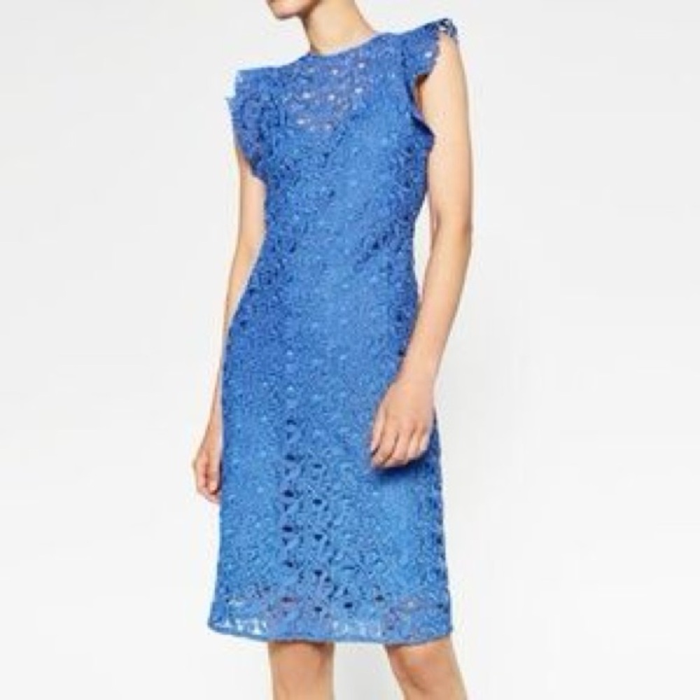 Zara Blue Lace Bodycon Shift Dress Ruffle Sleeves Size XS